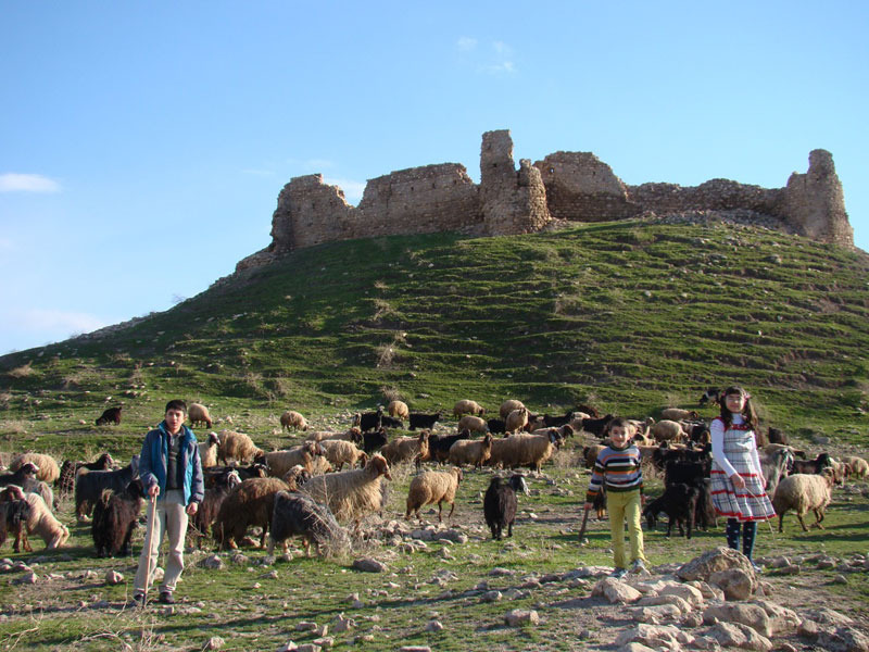 The historic Dere Castle near Erbil (Photo: Goran Sabah Ghafour) 